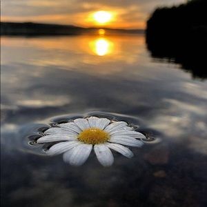 Meet your Posher, Cathy